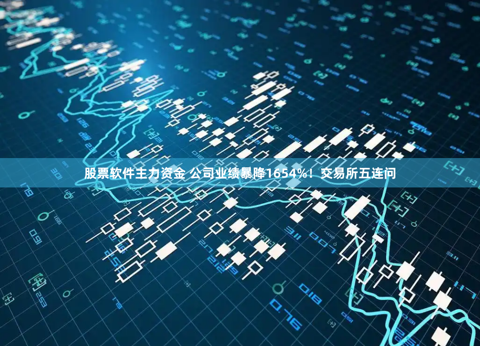 股票软件主力资金 公司业绩暴降1654%！交易所五连问