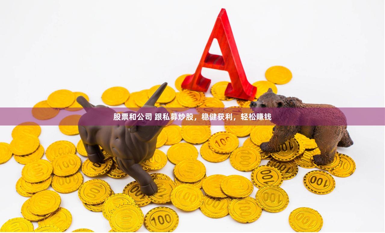股票和公司 跟私募炒股，稳健获利，轻松赚钱
