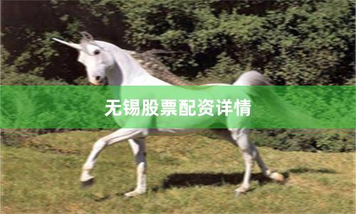无锡股票配资详情